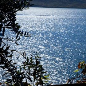 Apartmani Marija - Zubovići - Objekt 3 - Apartman 2