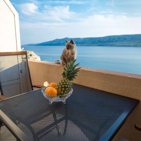 Apartmani Marija - Zubovići - Objekt 1 - Apartman 5