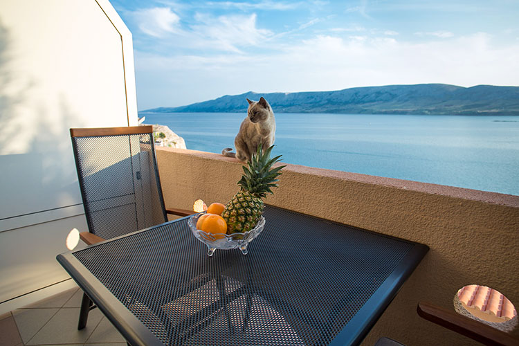 Apartmani Marija - Zubovići - Objekt 1 - Apartman 5