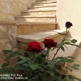 Apartmani Marija - Zubovići - Galerija