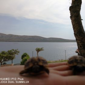 Apartmani Marija - Zubovići - Galerija